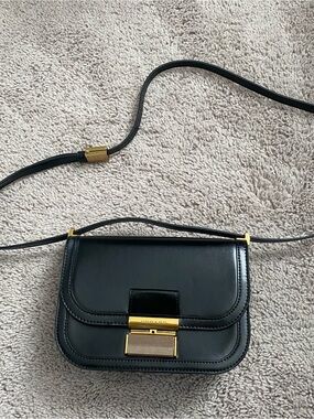 Charles & Keith Black Crossbody Bag with Gold Hardware